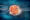 What to do and avoid after embryo transfer – expert IVF guidance for higher success rates