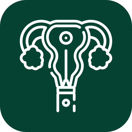 IMSI Treatment | IMSI Fertility Treatment