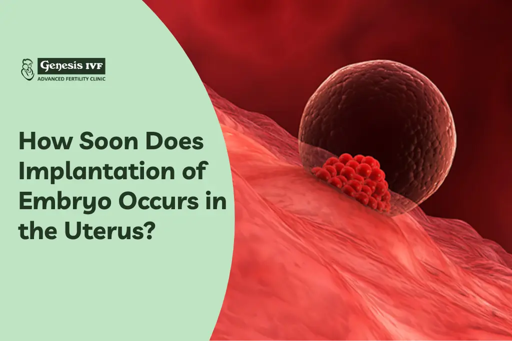 How Soon Does Implantation of Embryo Occurs in the Uterus?