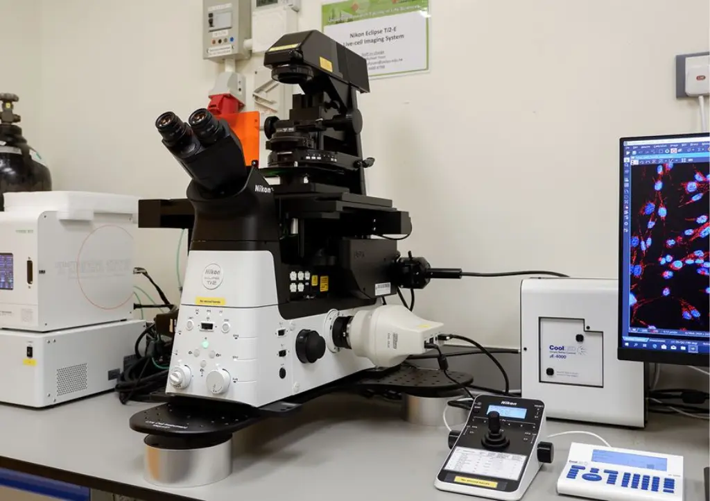 Laser Assisted Hatching System in Chennai