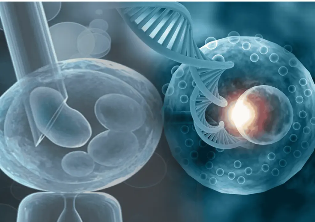 Preimplantation Genetic testing - Genesis IVF | Best IVF Clinics