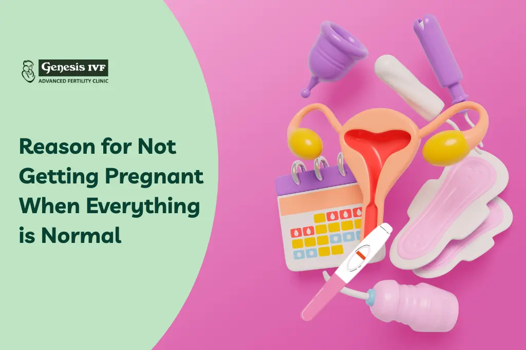 Reason for Not Getting Pregnant When Everything is Normal